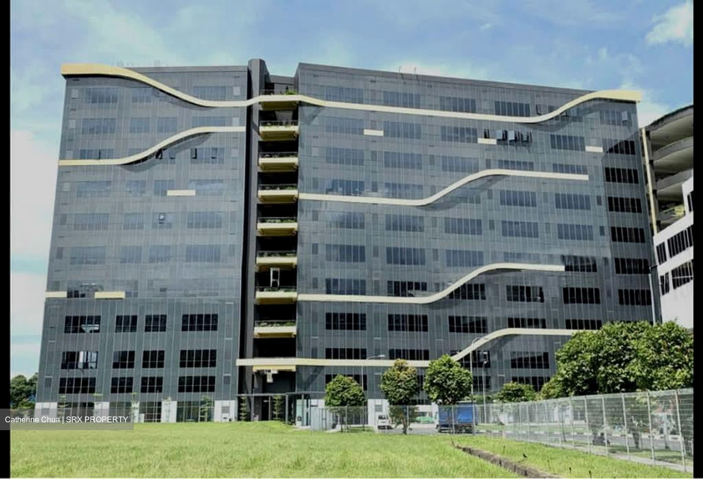 REVV (D22), Factory #530805511